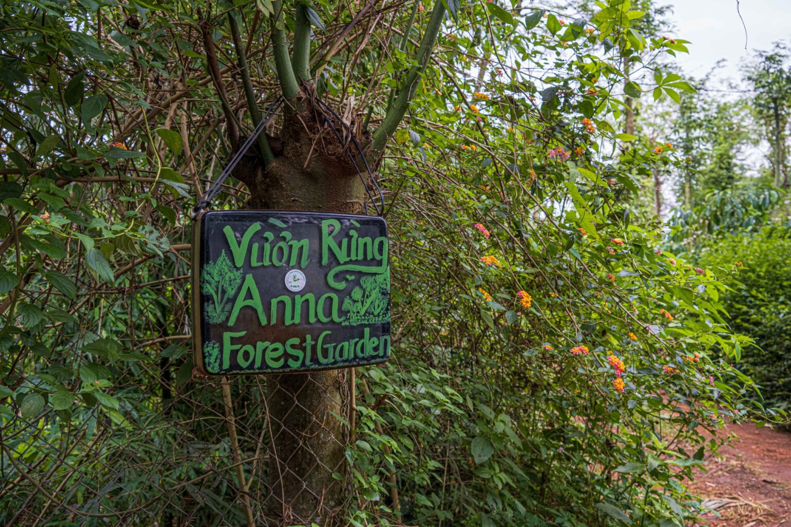 ANNA FOREST GARDEN