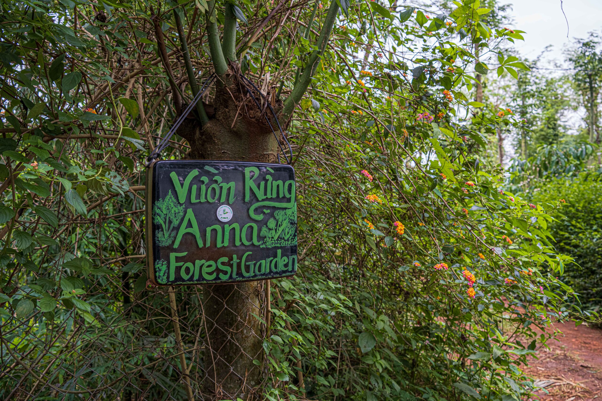 ANNA FOREST GARDEN