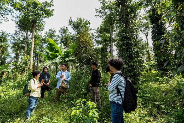 IFOREST FARM