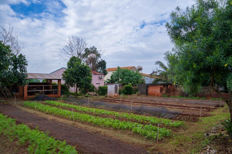 NICONICOYASAI FARM