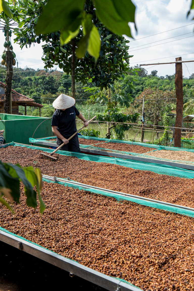 IFOREST FARM