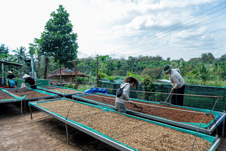 IFOREST FARM
