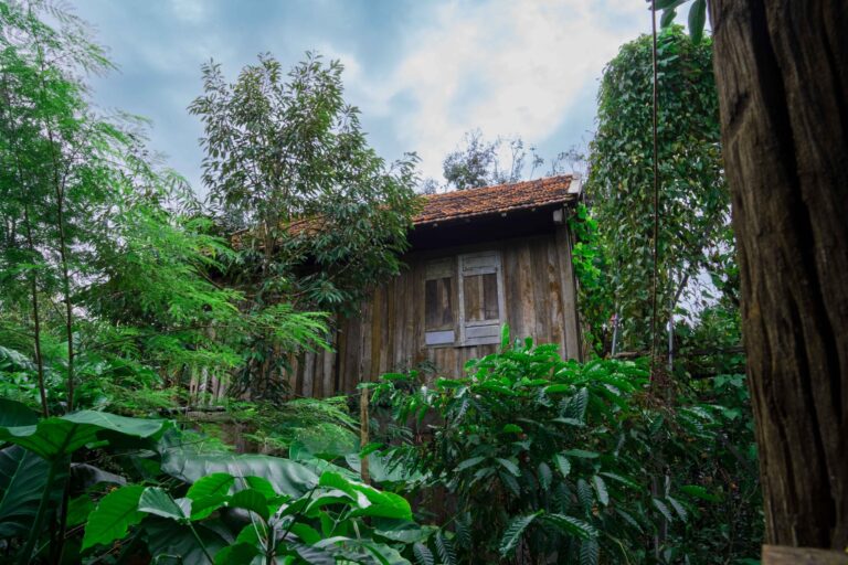 MẠNH ĐƯỜNG FARM